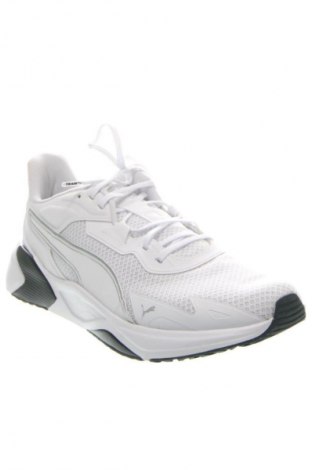 Herrenschuhe PUMA, Größe 45, Farbe Weiß, Preis € 90,99