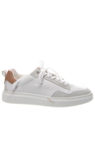 Ανδρικά παπούτσια Paul Hunter, Μέγεθος 45, Χρώμα Πολύχρωμο, Τιμή 127,99 €