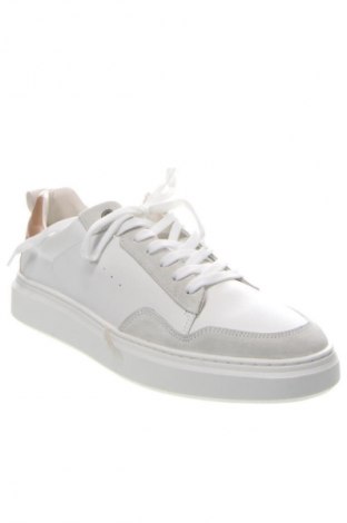 Ανδρικά παπούτσια Paul Hunter, Μέγεθος 45, Χρώμα Πολύχρωμο, Τιμή 127,99 €