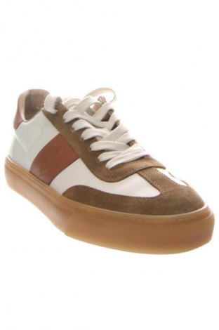 Herrenschuhe Tod's, Größe 42, Farbe Mehrfarbig, Preis € 439,37