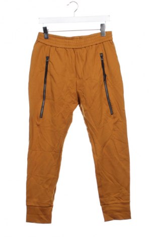 Pantaloni de bărbați DAYDREAM, Mărime S, Culoare Maro, Preț 82,99 Lei