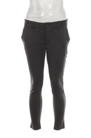 Męskie spodnie Perform Collection, Rozmiar M, Kolor Szary, Cena 37,99 zł