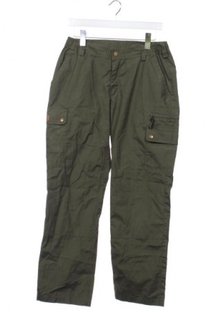 Herrenhose Pinewood, Größe S, Farbe Grün, Preis € 20,99