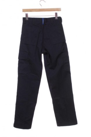 Herrenhose Unbranded, Größe S, Farbe Blau, Preis € 31,82