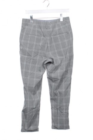 Herrenhose Zara, Größe S, Farbe Grau, Preis 8,99 €