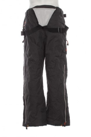 Ανδρικό παντελόνι για χειμερινά σπορ Snowgear by TCM, Μέγεθος M, Χρώμα Γκρί, Τιμή 22,99 €