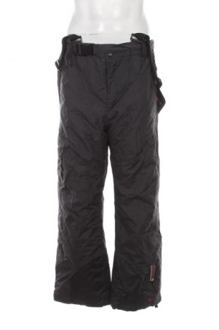 Herrenhose für Wintersport TCM, Größe L, Farbe Grau, Preis € 25,99