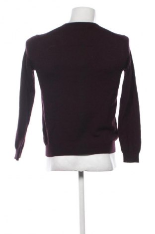 Herrenpullover Calvin Klein Jeans, Größe M, Farbe Lila, Preis € 34,78