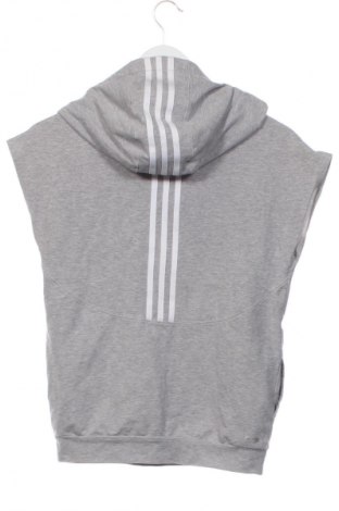 Ανδρικό φούτερ Adidas, Μέγεθος XXS, Χρώμα Γκρί, Τιμή 28,13 €