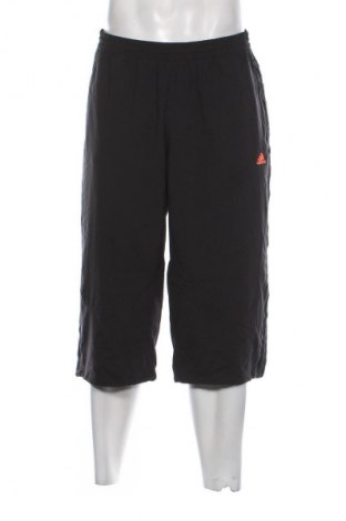 Pánské tepláky  Adidas, Velikost L, Barva Černá, Cena  689,00 Kč