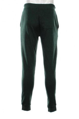 Herren Sporthose Terranova, Größe M, Farbe Grün, Preis 19,99 €