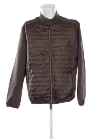 Herrenjacke Mauro Ferrini, Größe XL, Farbe Grün, Preis € 17,99