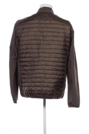 Herrenjacke Mauro Ferrini, Größe XL, Farbe Grün, Preis € 17,99