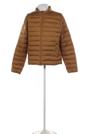 Herrenjacke Tex, Größe XL, Farbe Golden, Preis 28,99 €