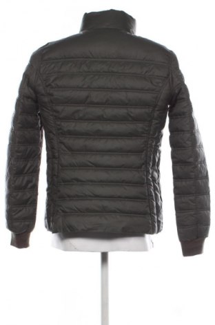 Ανδρικό μπουφάν Vincita, Μέγεθος L, Χρώμα Πράσινο, Τιμή 21,99 €