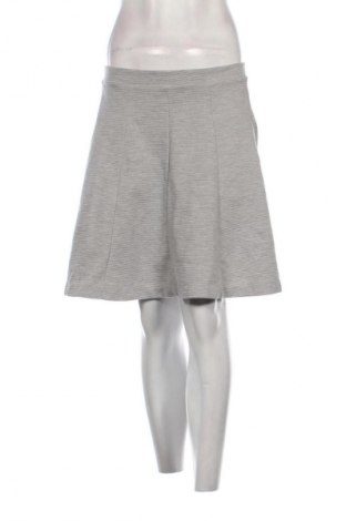 Sukně Esprit, Velikost L, Barva Šedá, Cena  520,00 Kč