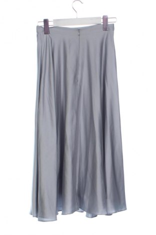 Φούστα Jake*s, Μέγεθος XS, Χρώμα Γκρί, Τιμή 20,97 €