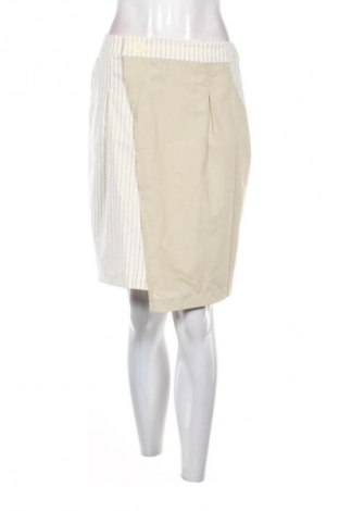 Φούστα Unbranded, Μέγεθος L, Χρώμα Πολύχρωμο, Τιμή 16,00 €