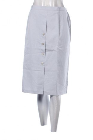 Sukně Unbranded, Velikost L, Barva Šedá, Cena  389,00 Kč