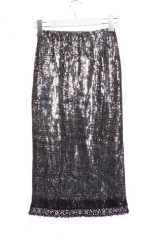 Φούστα Zara, Μέγεθος XXS, Χρώμα Πολύχρωμο, Τιμή 13,80 €