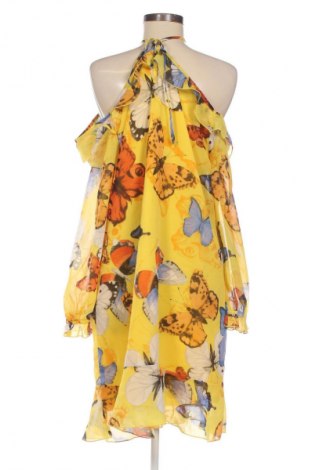 Kleid Body Flirt, Größe XL, Farbe Mehrfarbig, Preis € 20,02