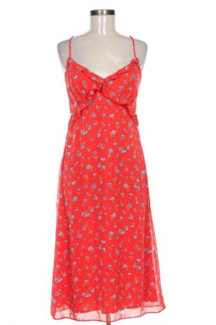 Φόρεμα Dorothy Perkins, Μέγεθος M, Χρώμα Πολύχρωμο, Τιμή 29,66 €