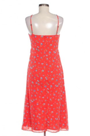 Φόρεμα Dorothy Perkins, Μέγεθος M, Χρώμα Πολύχρωμο, Τιμή 29,66 €