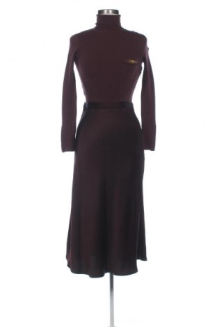 Kleid Elisabetta Franchi, Größe S, Farbe Braun, Preis 314,18 €
