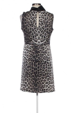 Φόρεμα Evita, Μέγεθος L, Χρώμα Πολύχρωμο, Τιμή 19,67 €