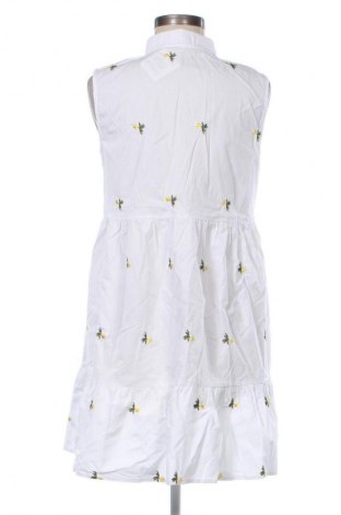 Šaty  Fisherfield, Veľkosť M, Farba Viacfarebná, Cena  20,02 €