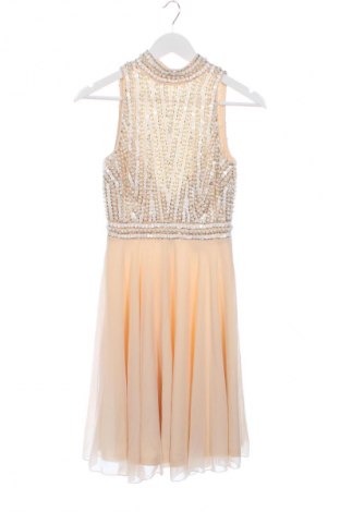 Φόρεμα Lace & Beads, Μέγεθος S, Χρώμα Πολύχρωμο, Τιμή 71,65 €