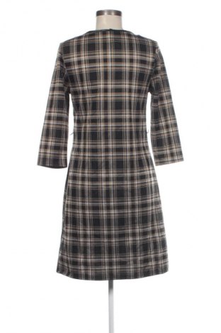 Φόρεμα Laura Torelli, Μέγεθος S, Χρώμα Πολύχρωμο, Τιμή 5,99 €