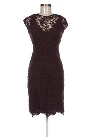 Kleid Massimo Dutti, Größe S, Farbe Braun, Preis 71,92 €