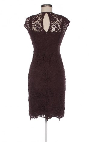 Kleid Massimo Dutti, Größe S, Farbe Braun, Preis 71,92 €