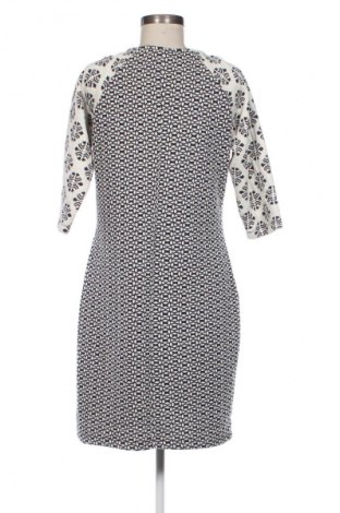 Šaty  Ms Mode, Veľkosť XL, Farba Viacfarebná, Cena  19,95 €