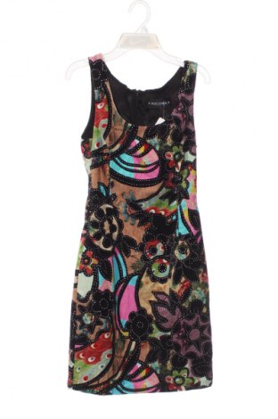 Kleid Nicowa, Größe XS, Farbe Mehrfarbig, Preis 41,98 €