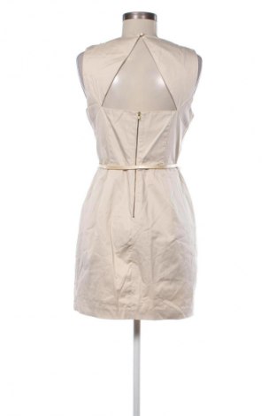 Šaty  Oasis, Velikost M, Barva Béžová, Cena  696,00 Kč