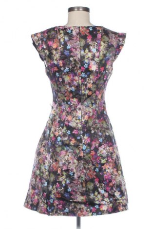 Φόρεμα Oasis, Μέγεθος M, Χρώμα Πολύχρωμο, Τιμή 38,06 €