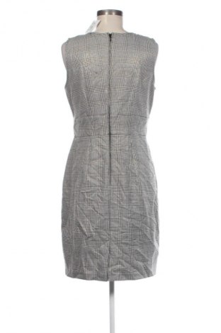 Kleid Orsay, Größe L, Farbe Mehrfarbig, Preis € 15,99