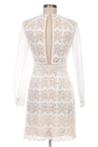 Kleid Reiss, Größe M, Farbe Mehrfarbig, Preis 66,51 €