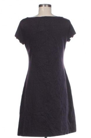 Kleid Sandro Ferrone, Größe M, Farbe Lila, Preis € 26,99