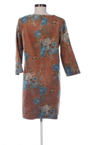 Kleid Sweet Miss, Größe L, Farbe Mehrfarbig, Preis € 7,99