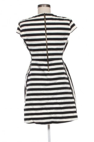 Kleid Zara, Größe L, Farbe Mehrfarbig, Preis 18,99 €