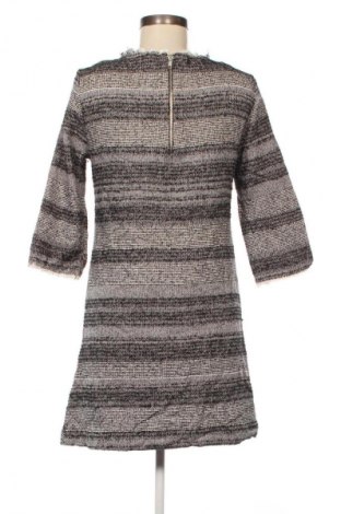 Kleid Zara, Größe M, Farbe Mehrfarbig, Preis 13,99 €
