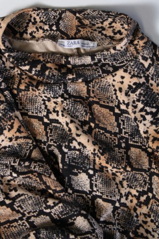 Kleid Zara, Größe M, Farbe Mehrfarbig, Preis € 17,39