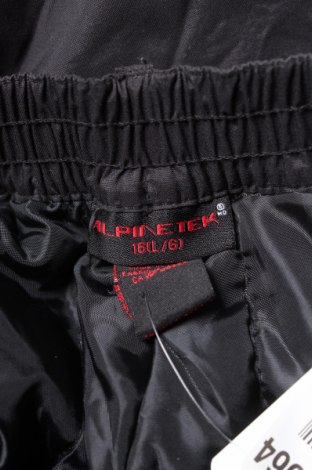 Παιδικό παντελόνι για χειμερινά σπορ Alpinetek, Μέγεθος 15-18y/ 170-176 εκ., Χρώμα Μαύρο, Τιμή 4,80 €