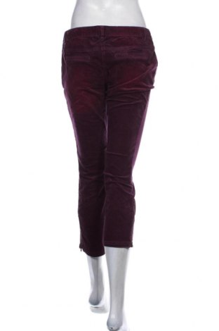Γυναικείο κοτλέ παντελόνι Tom Tailor, Μέγεθος XL, Χρώμα Βιολετί, Τιμή 42,27 €