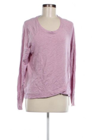 Γυναικεία μπλούζα, Μέγεθος XL, Χρώμα Βιολετί, Τιμή 5,05 €
