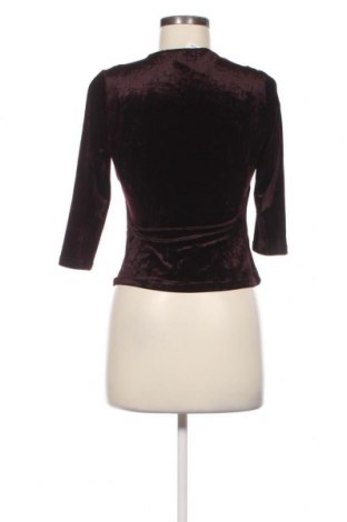 Γυναικεία μπλούζα, Μέγεθος XS, Χρώμα Καφέ, Τιμή 9,62 €