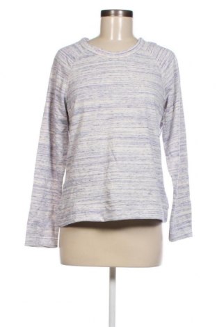 Damen Shirt Ed.it.ed, Größe L, Farbe Mehrfarbig, Preis 2,38 €